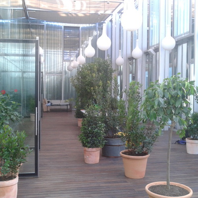 Hotel melia pere lV