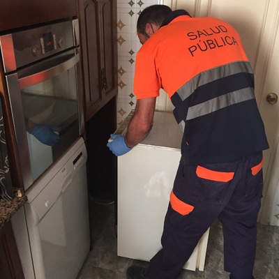 Inspección en posibles focos potenciales de cucarachas