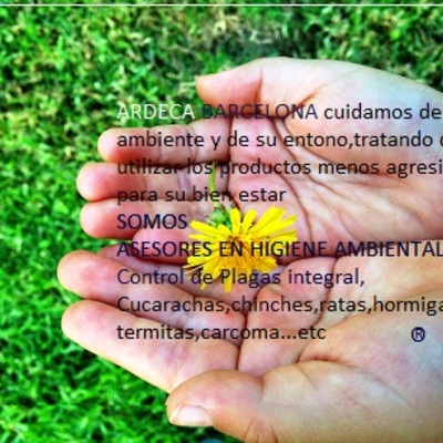 Nuevo logo ARDECA