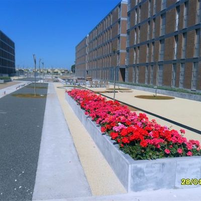 Obra Jerez 2