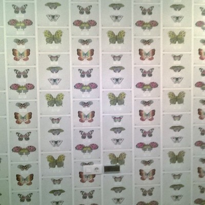 papel