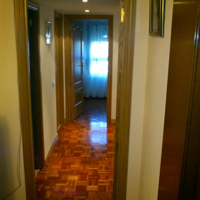 paquet eucalipto