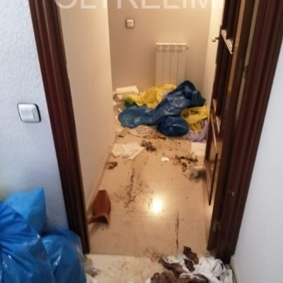 Limpieza piso sindrome de diogenes