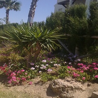 Mantenimiento de jardines