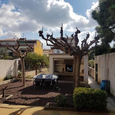 Trabajos jardinería
