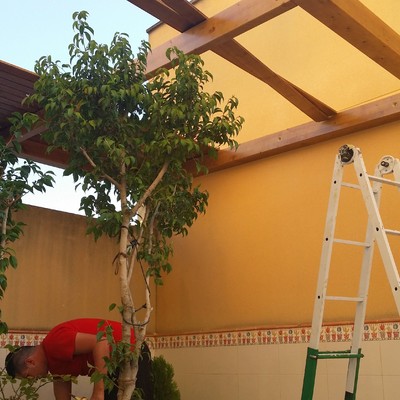 Pérgola 