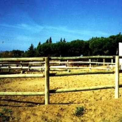 picadero