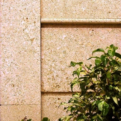 piedra fósil