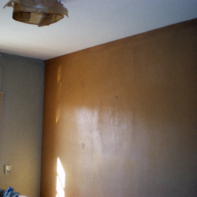 pintar
