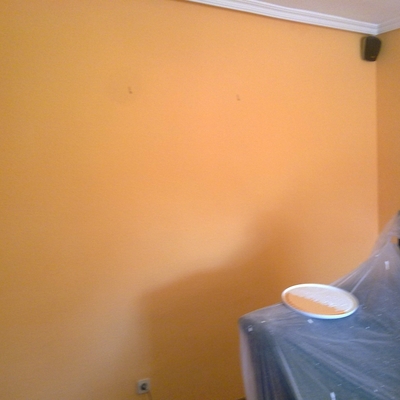 Pintura plastica