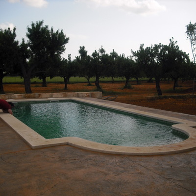 PISCINA 8 X 4 CON ESCALERA ROMANA