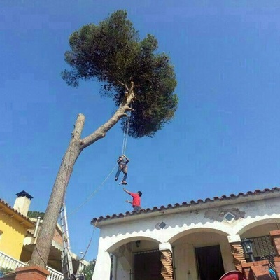 poda en altura
