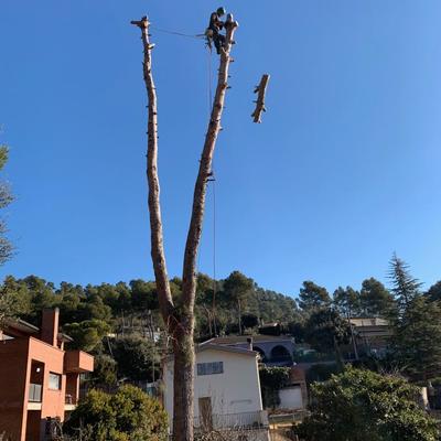 Tala y PODA
