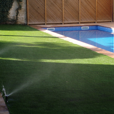 PROMOCIÓN 436