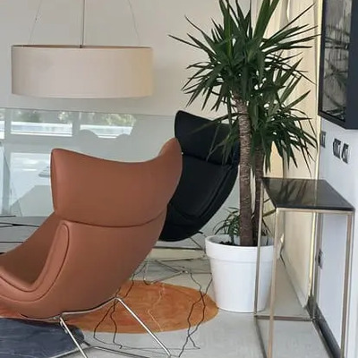 Zona de relax y lectura
