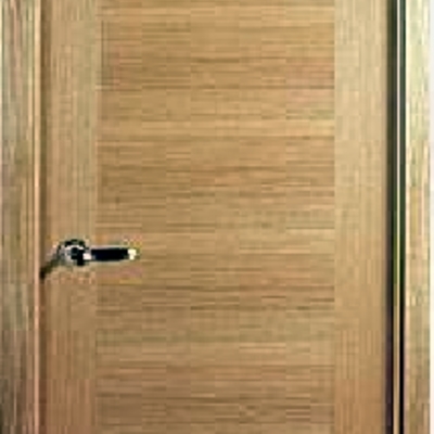 Puerta lisa actual.