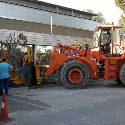 Transplante