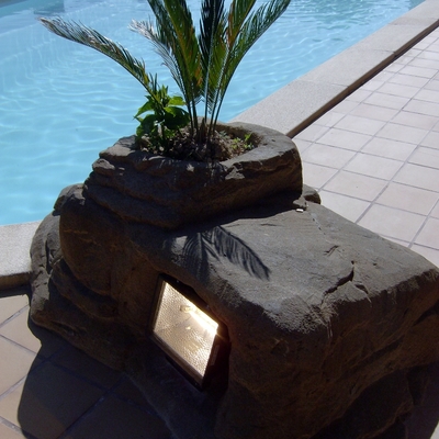 ROCA EN PISCINA 1