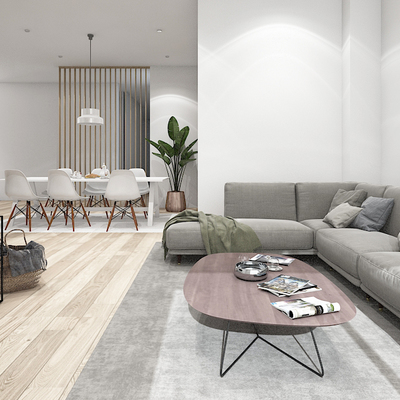 Salon-comedor