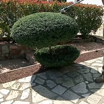 AZRUCAT