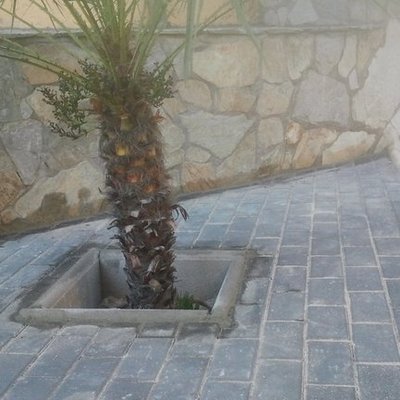 SOLADO DE JARDINERAS