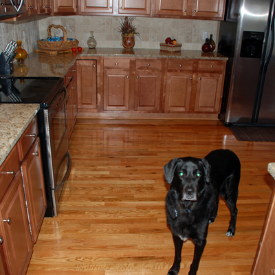 Suelos laminados especiales para cocinas