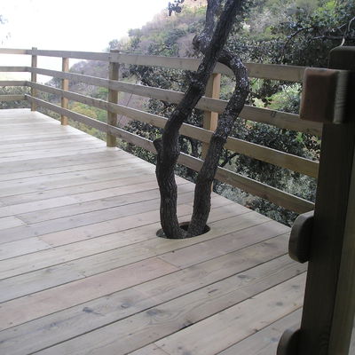 Terraza de madera 