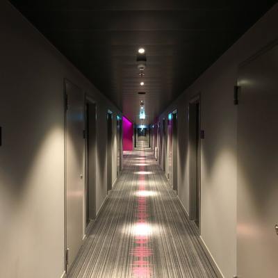 Control de Plagas en Hoteles.