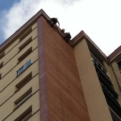 Trabajos verticales