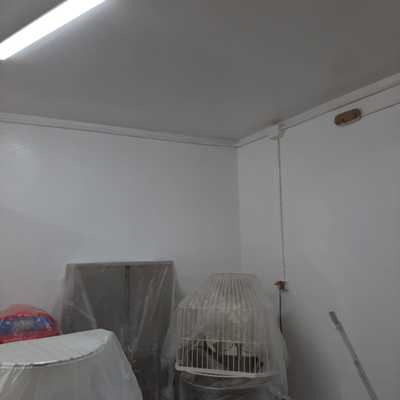 Pintura