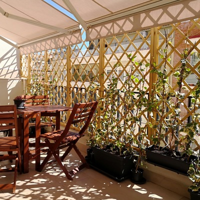 Terraza