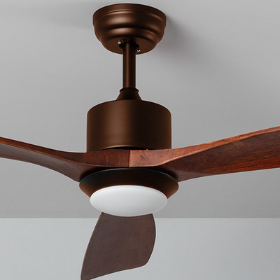 Ventilador de techo