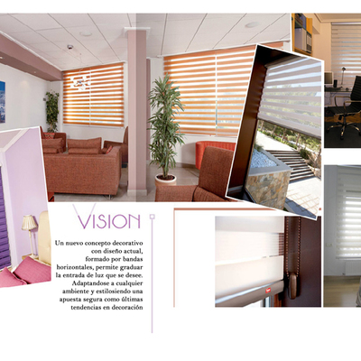 Vision