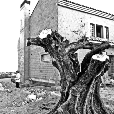 Vivienda unifamiliar en Montserrat