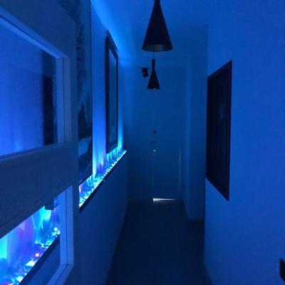 iluminación leds