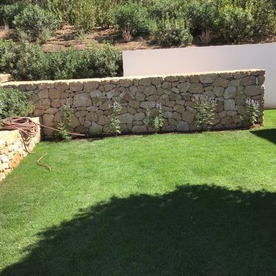 jardin