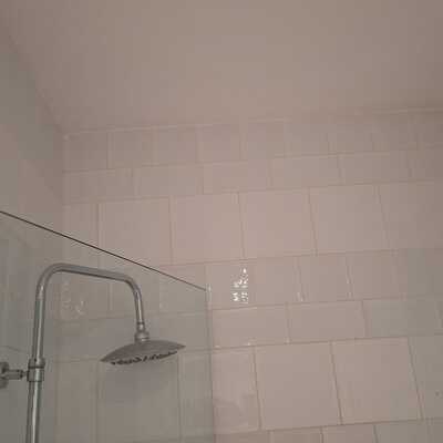 after mold
