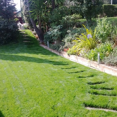 Jardín