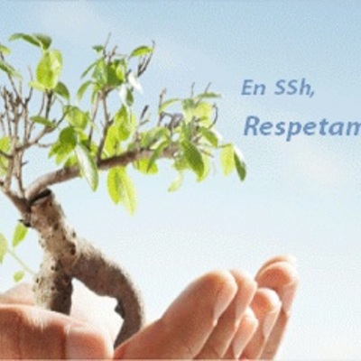www.chimenasssh.es