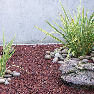 Xerojardineria