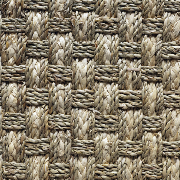 Foto Algas Tulip de Rugs & More International S.L. 171904 Habitissimo