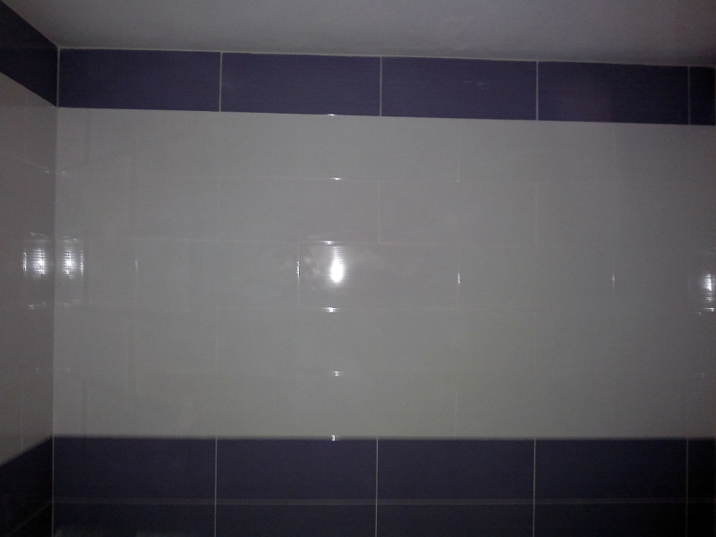 Foto: Baño Morado de Andecoren2006 #242935 - Habitissimo