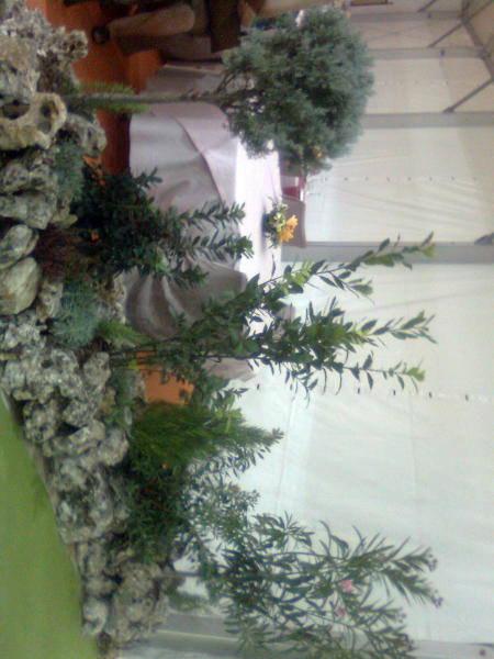 Jardinera de rocalla 