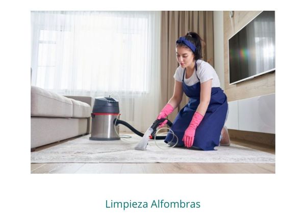 Limpieza alfombras