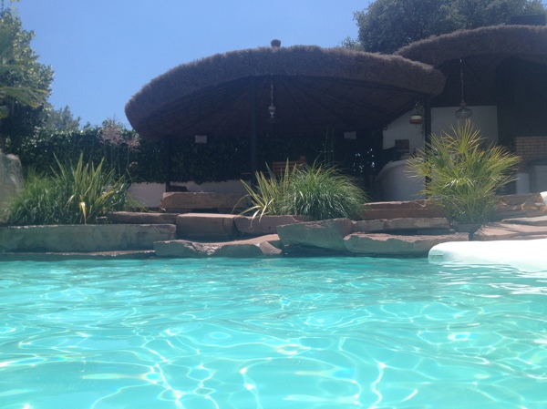 Piscina, pérgola y jardín domicilio particular