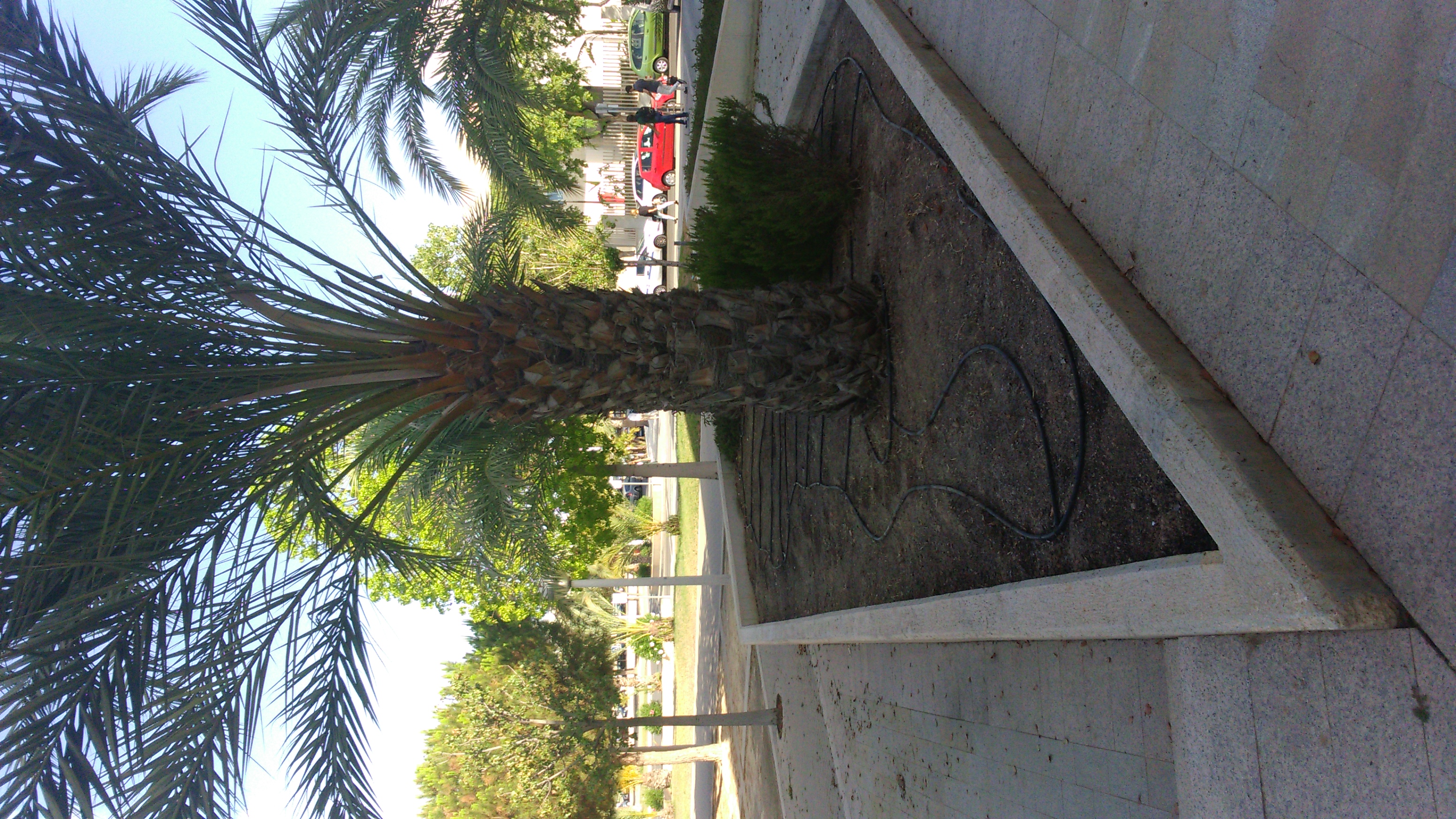 Mantenimiento de jardines
