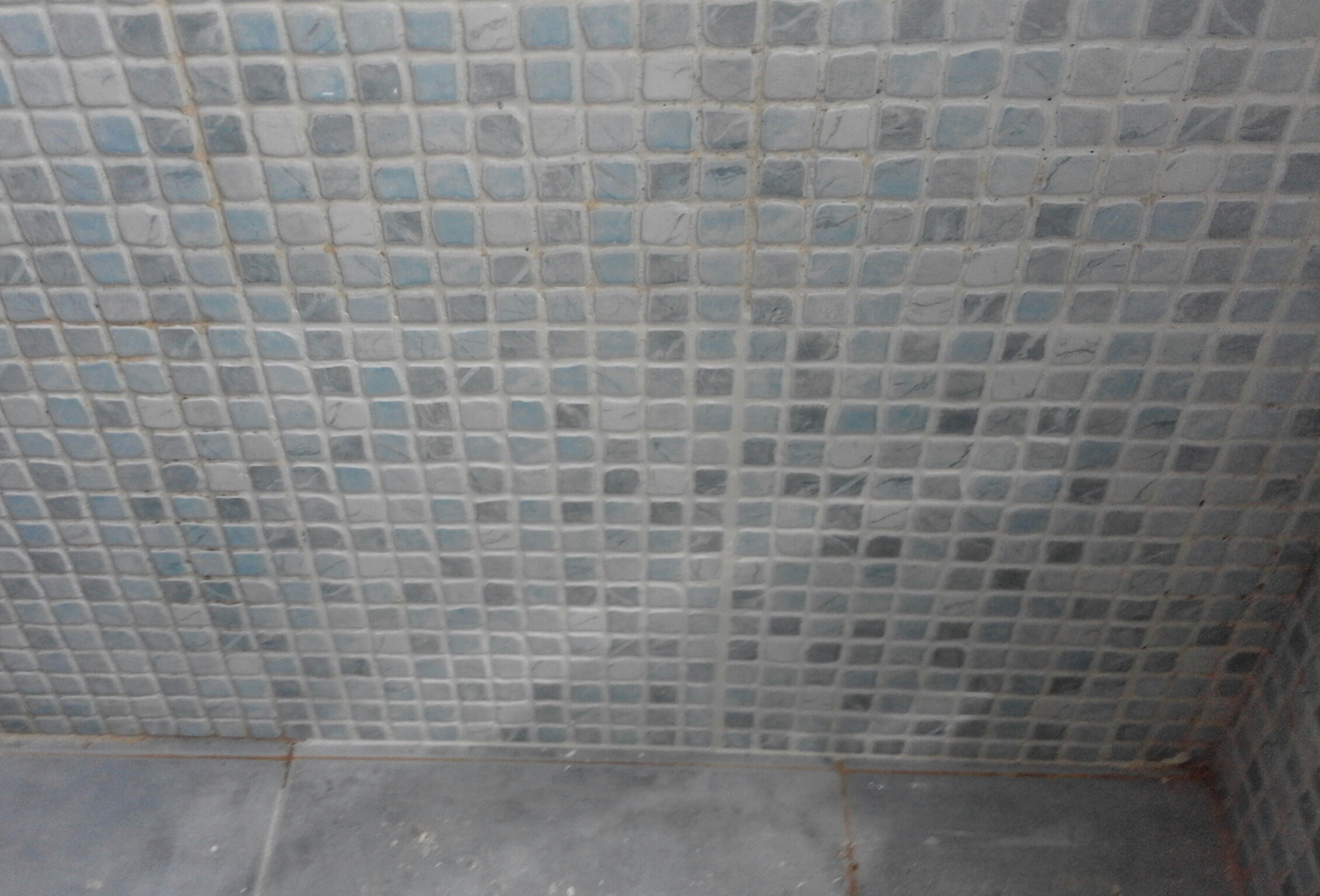 Alicatado pared de baño
