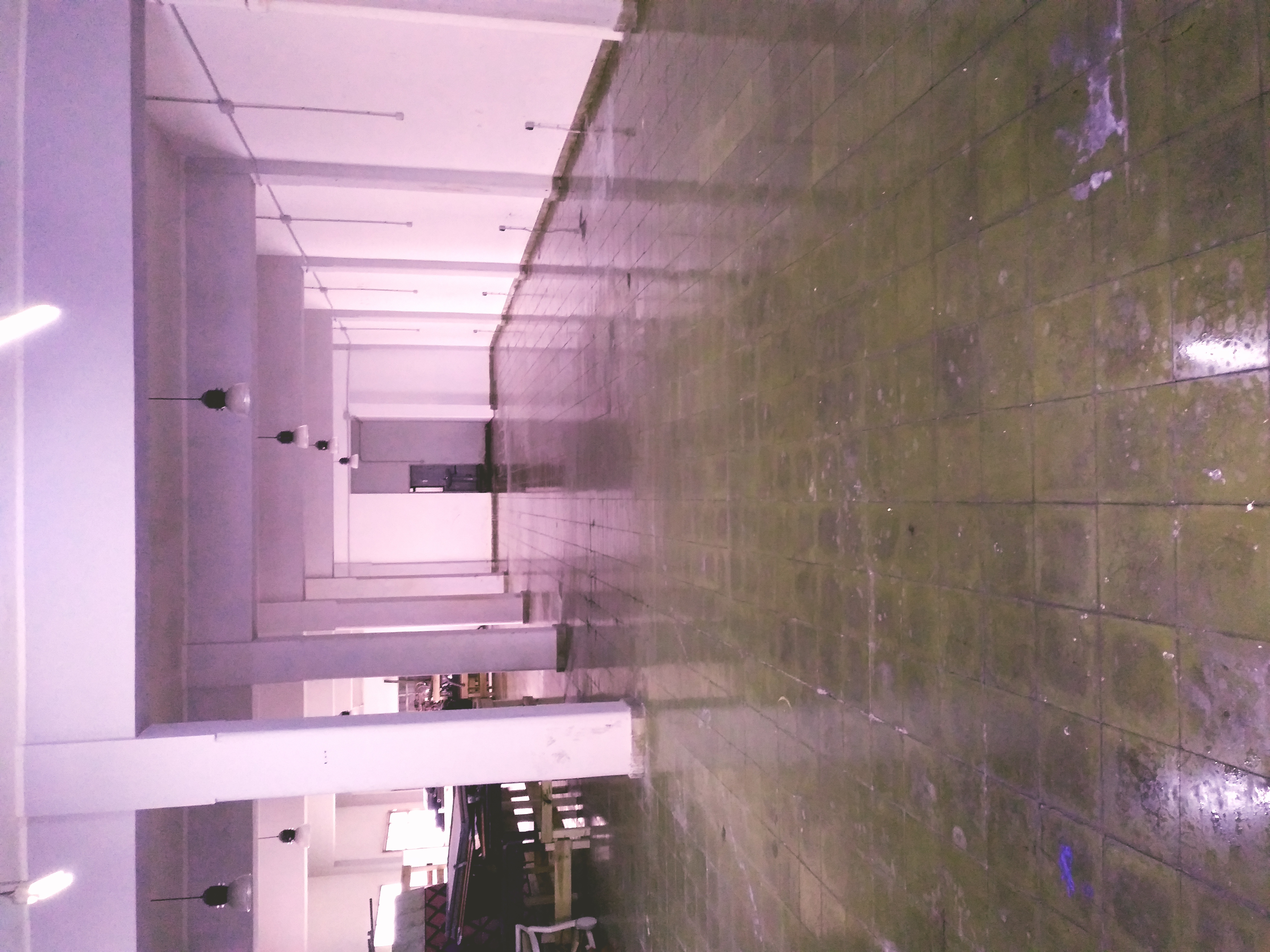 LIMPIEZA DE NAVE INDUSTRIAL
