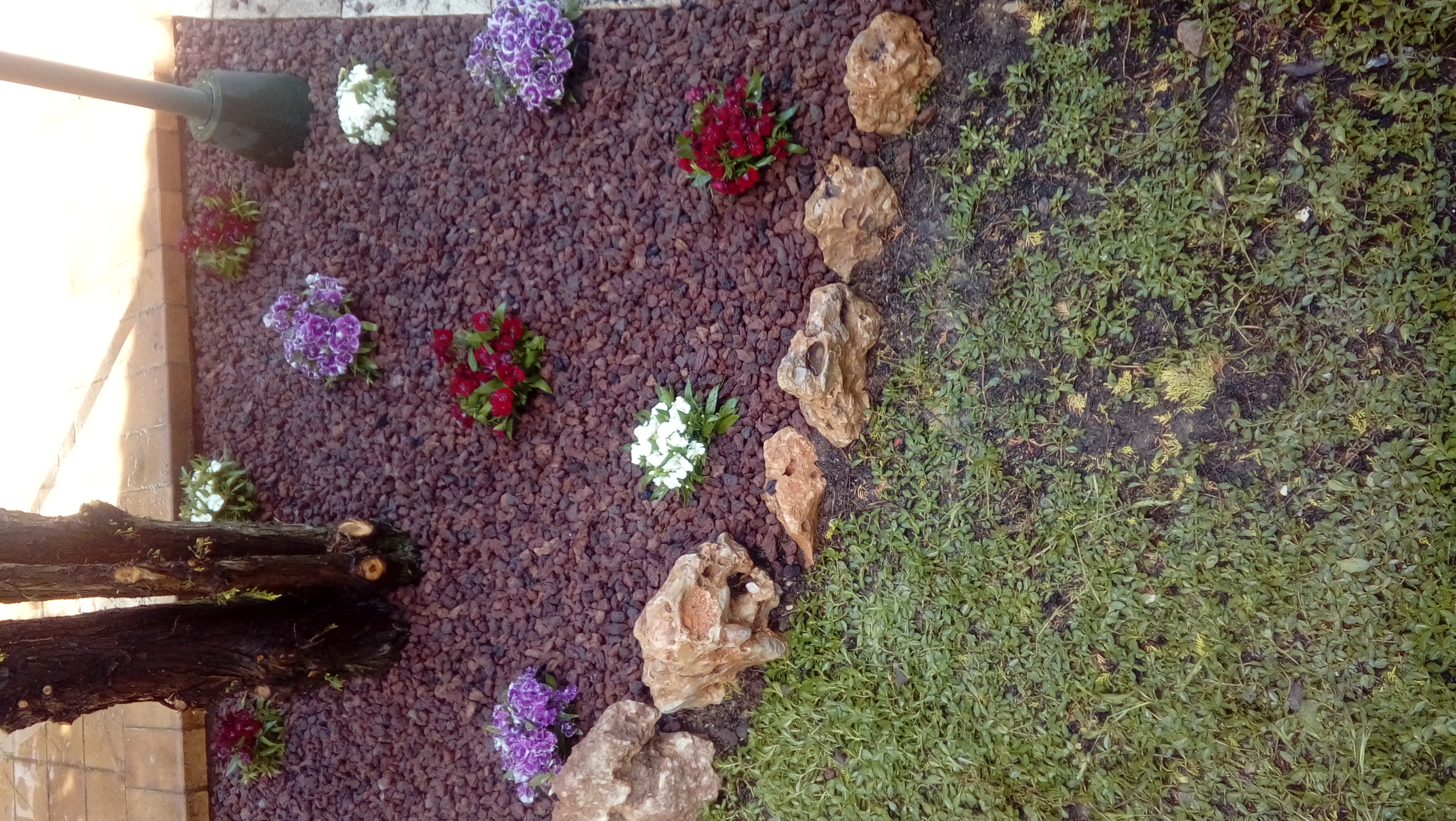 Construccion jardin con tela anti hyerbas plantar y grava vulcanica + rocas