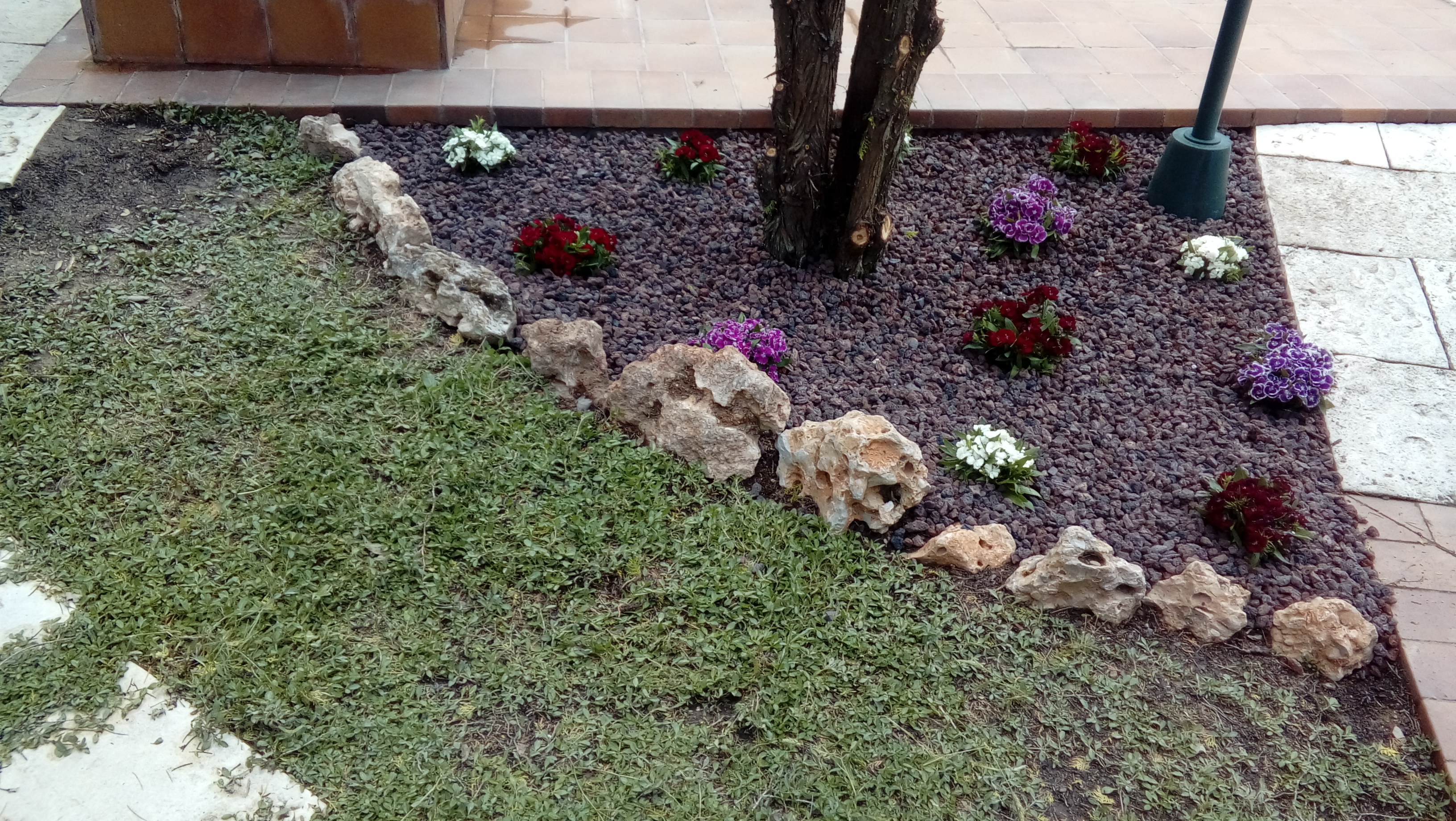 Areglos de jardin